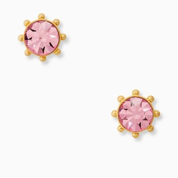 NWT Kate Spade Flying Colors Earrings